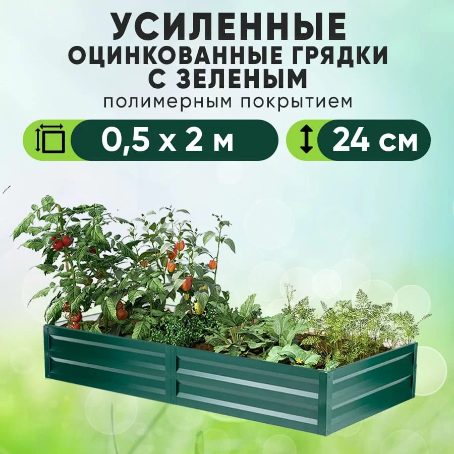 Зеленая усиленная грядка (0,5 х 2)